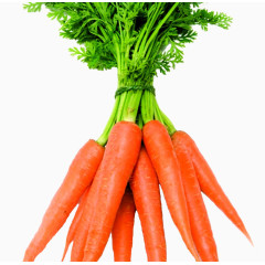蔬菜卡通蔬菜 红萝卜