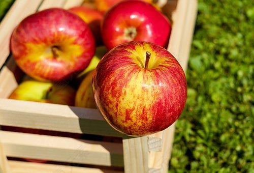 苹果,红色,水果,成熟,收获,苹果箱,免費的照片,免费图片