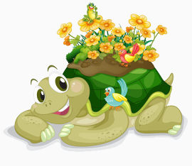 龟壳上长鲜花的乌龟