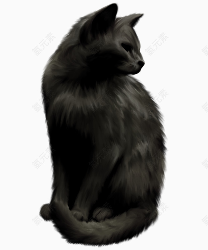 高冷黑猫