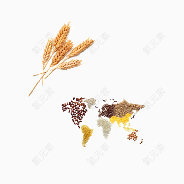 小麦五谷杂粮红豆小米薏米黄豆端午节材料 