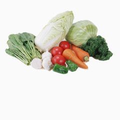 各种蔬菜元素
