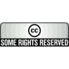 许可证一些权利保留licenses-icons
