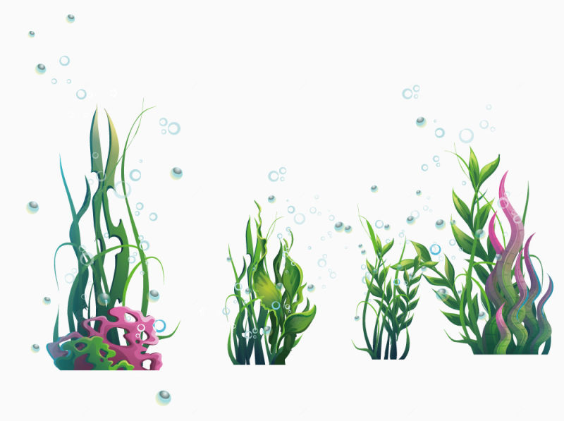 绿色海洋海藻类植物和水泡下载