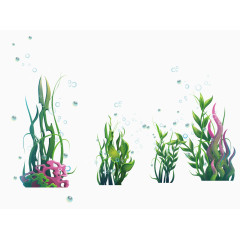 绿色海洋海藻类植物和水泡