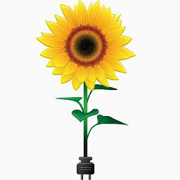 向日葵太阳花环境图标