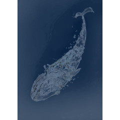 鲸鱼水珠创意设计