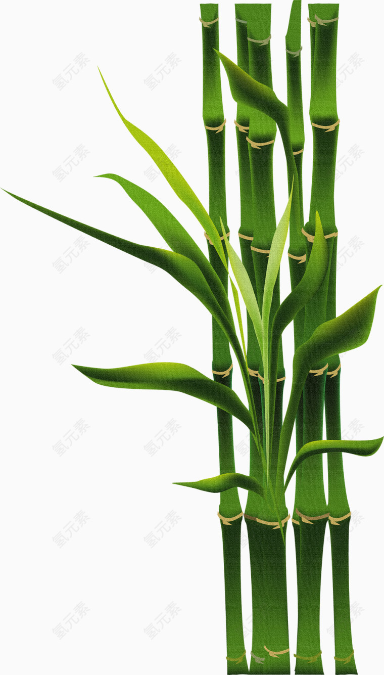 竹子手绘绿色