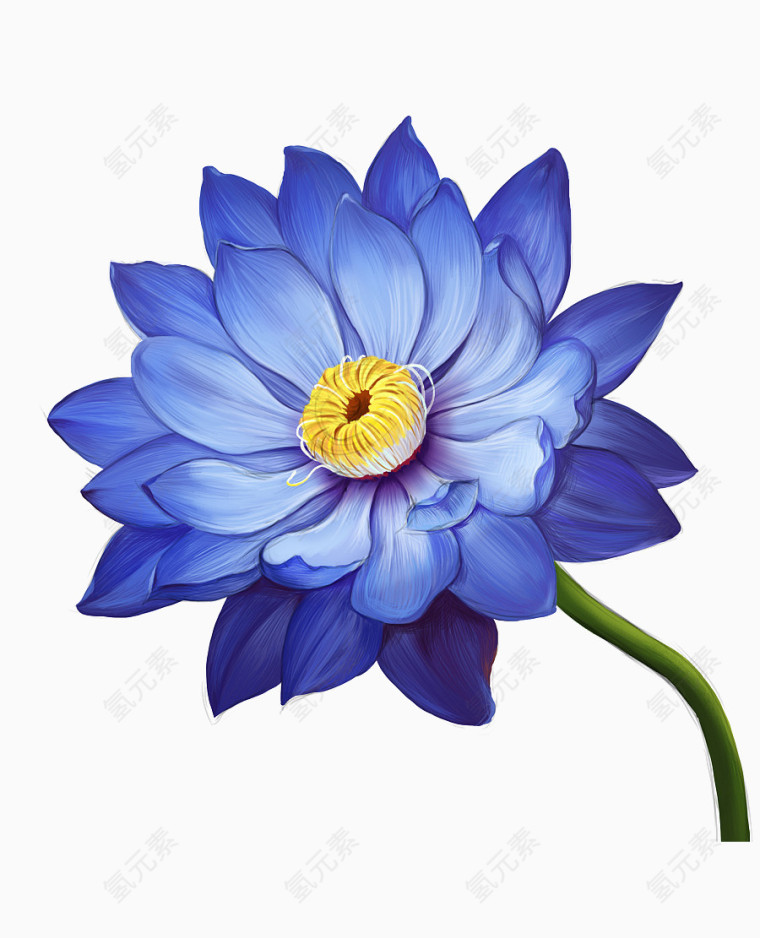 蓝色鼠绘花朵