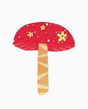 红色蘑菇花