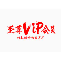 vip会员字体设计