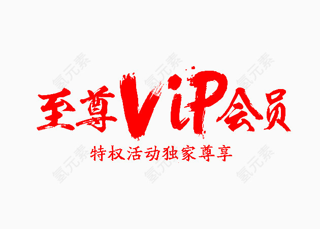 vip会员字体设计