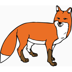 狐狸