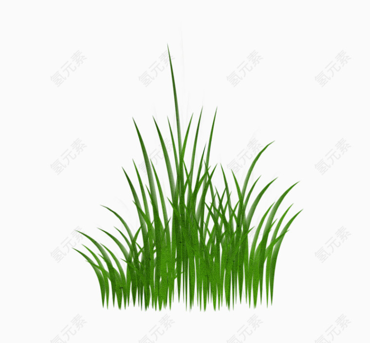 嫩绿的小草