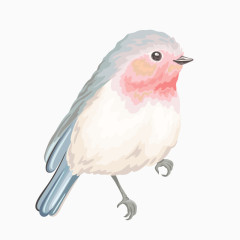 卡通手绘小鸟鸟类