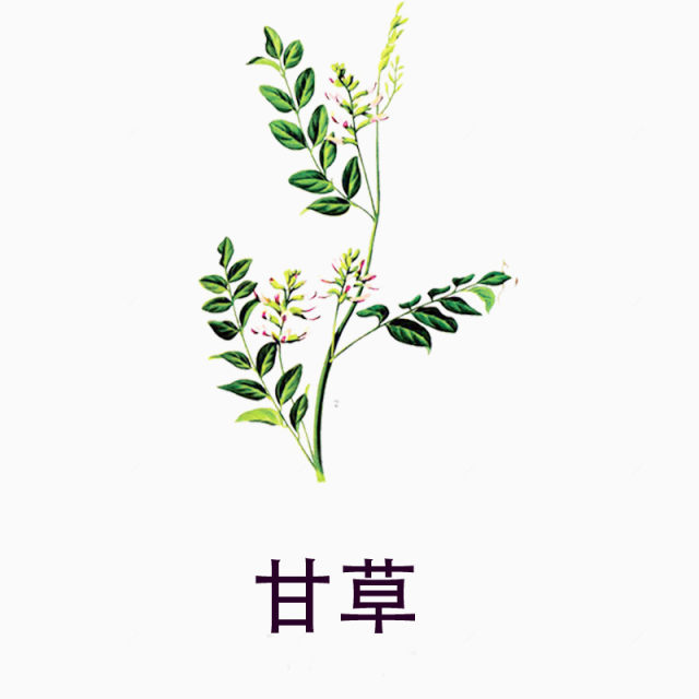 甘草下载