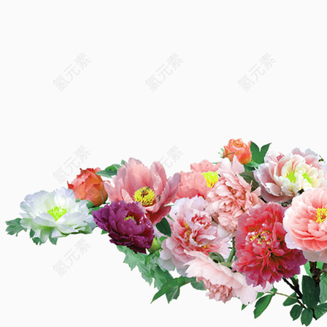 漂亮鲜花PNG透明图片