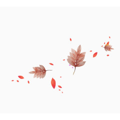 红色树叶枝叶漂浮