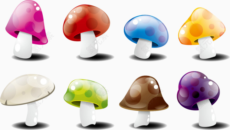 伞蘑菇