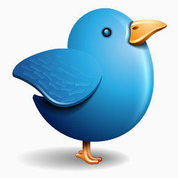 Twitter bird Icon