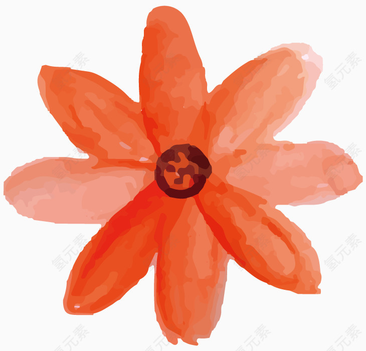 橘红色水彩花卉
