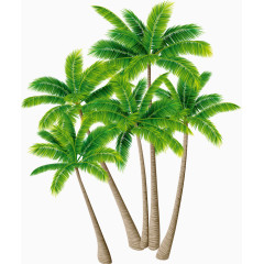 绿色植物椰子树