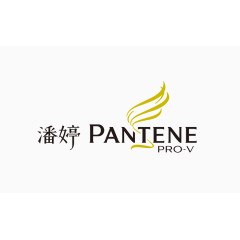 潘婷logo