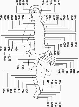 flash播放器albook -扩展- 811图标