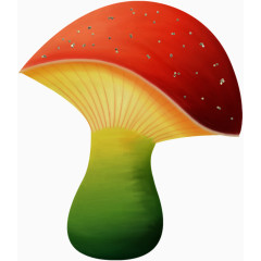 漂亮彩色蘑菇