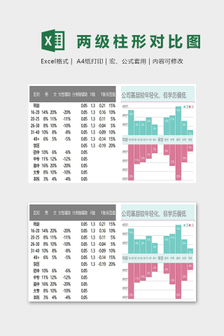 数据可视化两级柱形对比图excel模板下载