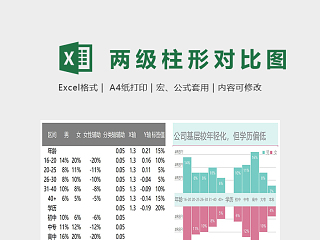 数据可视化两级柱形对比图excel模板