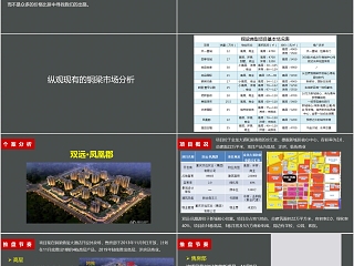 房地产策略提报PPT