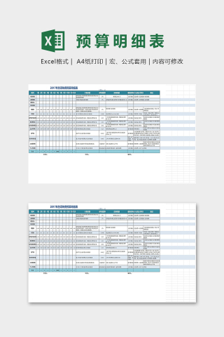 2017年各项税费预算明细表