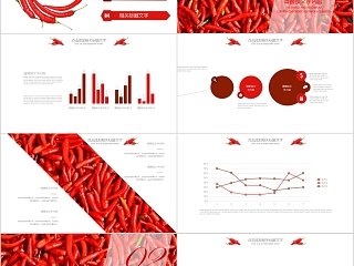 简单实用风格食品辣椒产品介绍PPT