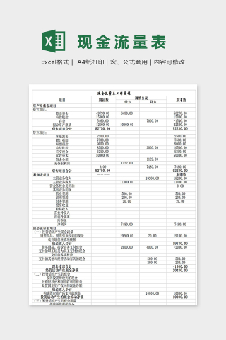 专业高端公司现金流量表系统excel模板