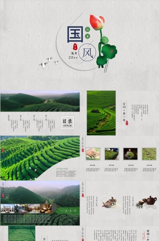 国风荷花国学教育通用简约ppt下载