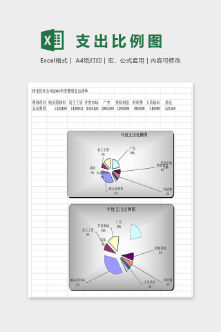 专业绘制年度支出比例图excel模板下载