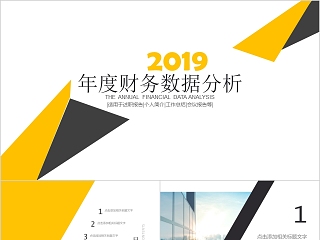 2019年度财务数据分析