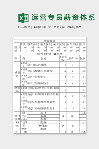 旗舰店运营专员薪资体系表excel模板下载