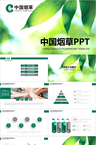 中国烟草局工作汇报计划总结会议PPT模板下载