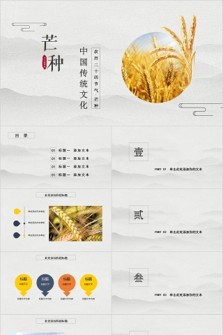 中国传统文化二十四节气芒种PPT模板