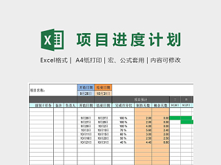 专业详细高级自动化项目进度图excel模板