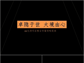 公司财务年报ppt模板