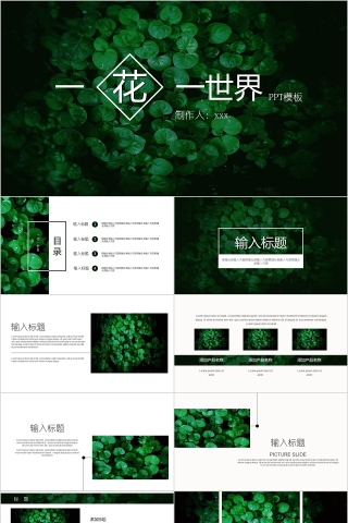 一花一世界ppt