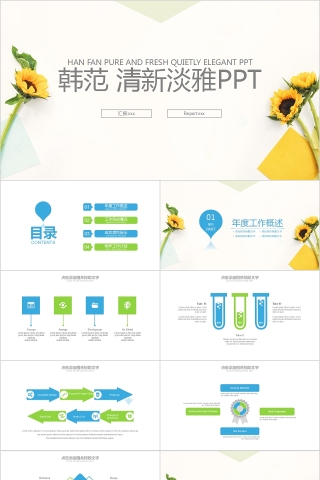 韩范清新淡雅工作汇报总结PPT