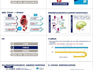 血糖、胰岛素和糖尿病之间的关系ppt模板