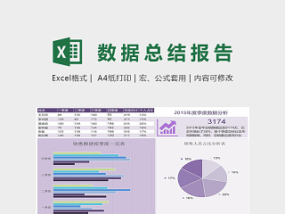 淡雅销售数据总结报告表excel模板