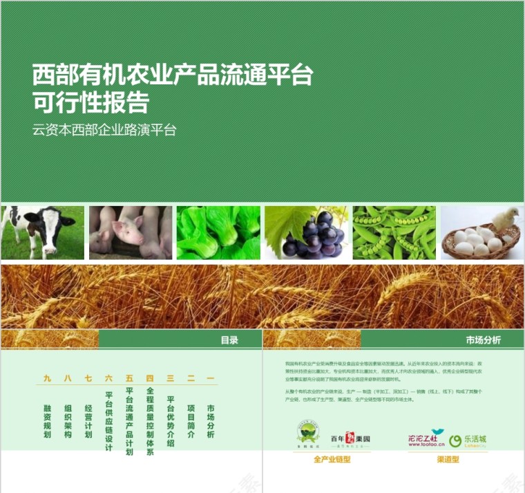 有机农业产品报告ppt 公司报表第1张