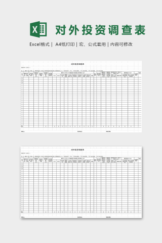 专业公司对外投资调查表excel模板下载