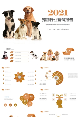 宠物行业营销报告PPT模板